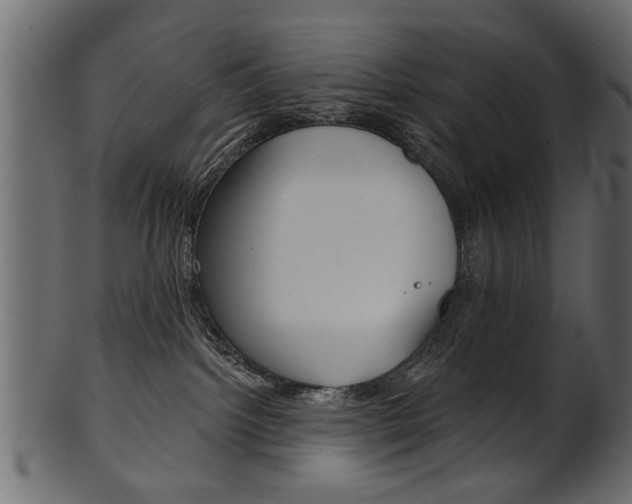 X0000102020092200807180953
