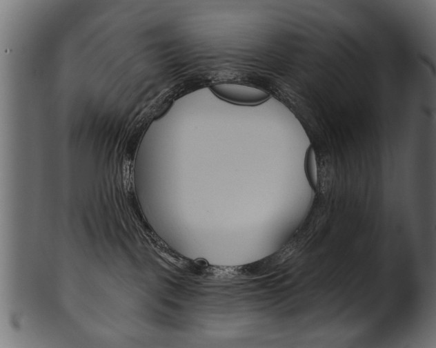 X0000102020093200807180953