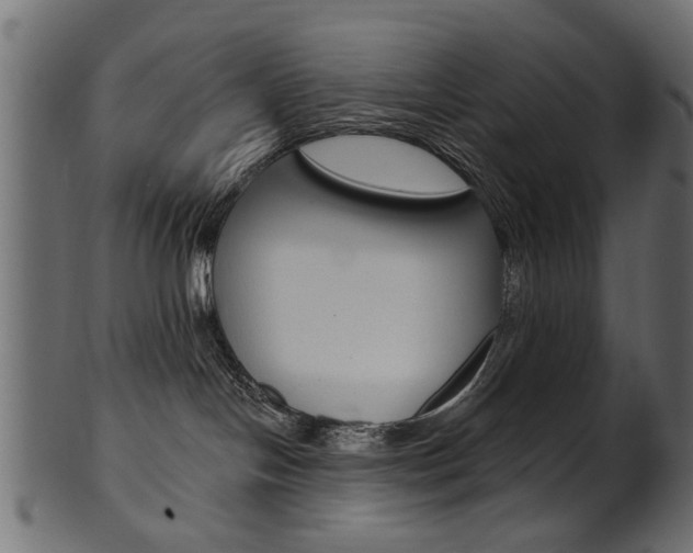 X0000102020094200807180953