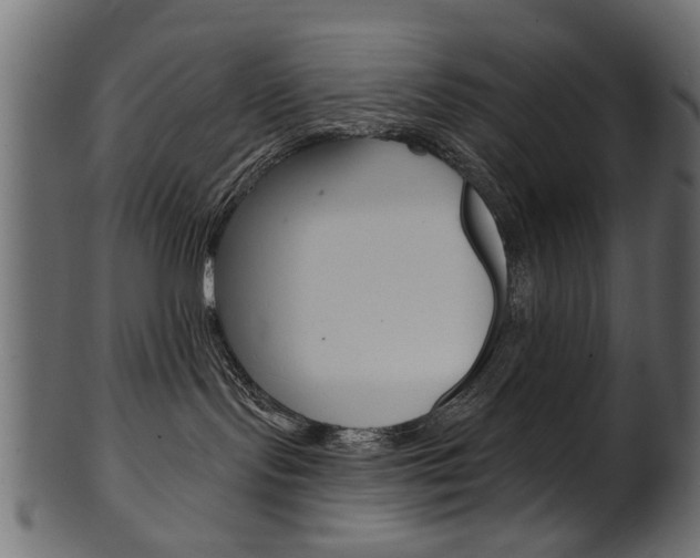 X0000102020095200807180953