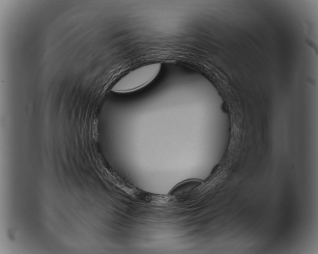 X0000102020096200807180953