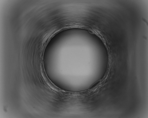 X0000102020097200807180952