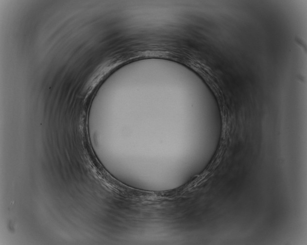 X0000102020098200807180952