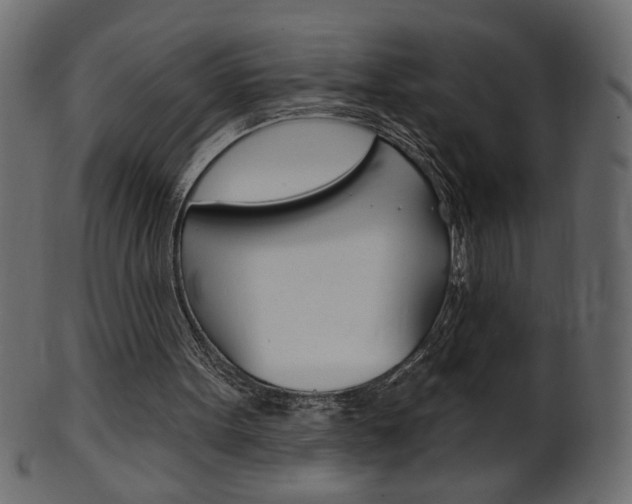 X0000102020099200807180952