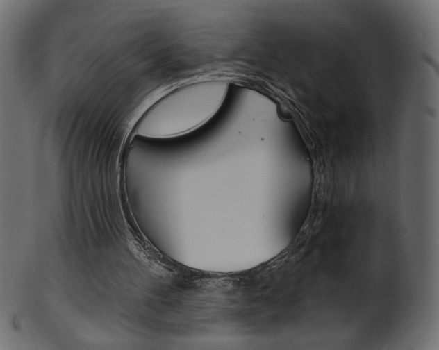 X0000102020100200807180952
