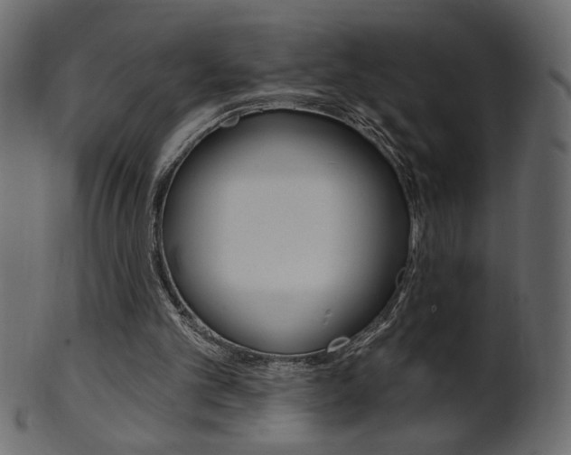 X0000102020101200807180952