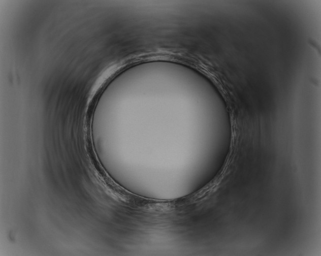 X0000102020102200807180952