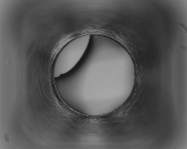 X0000102020103200807180952