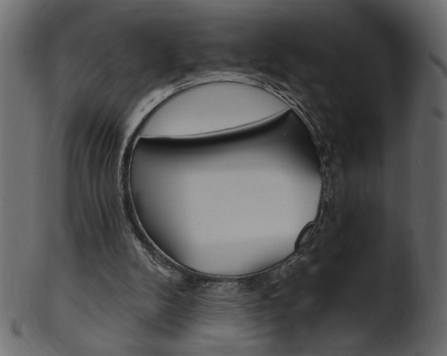 X0000102020104200807180952