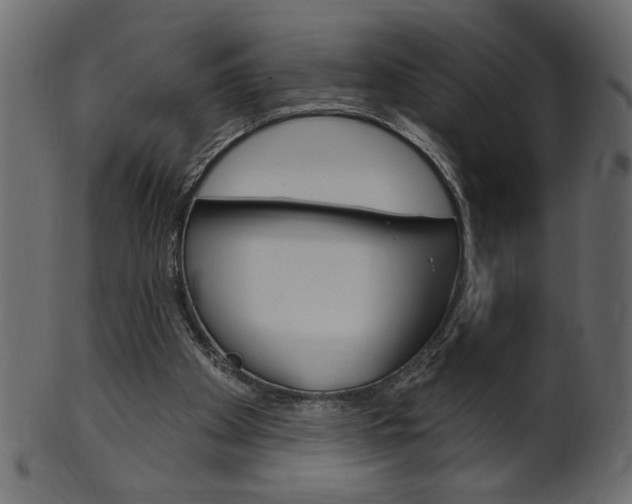 X0000102020105200807180952