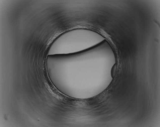 X0000102020106200807180952