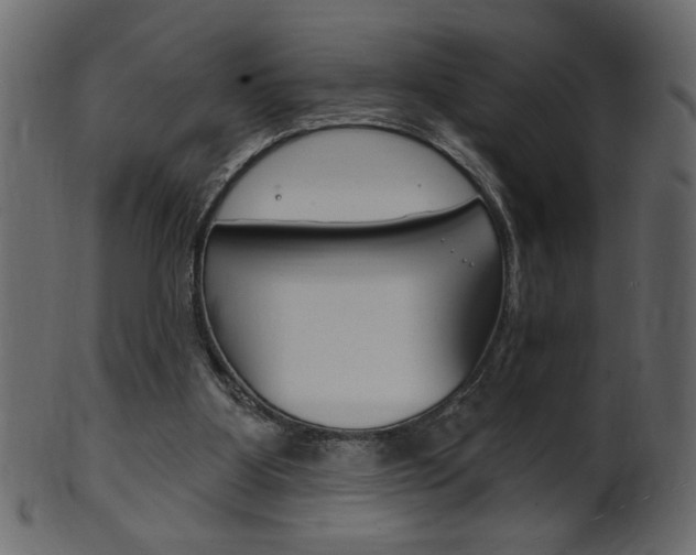 X0000102020107200807180952