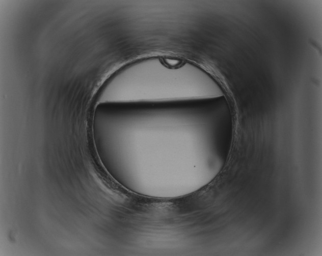 X0000102020108200807180952