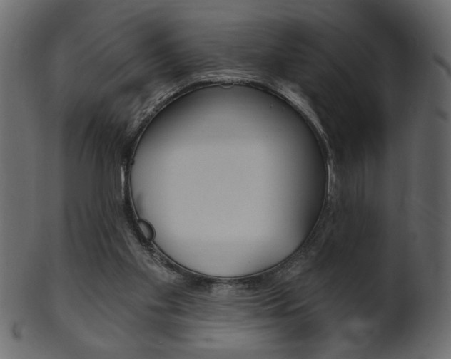 X0000102020109200807180952