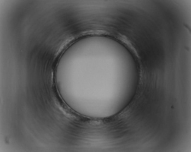 X0000102020110200807180952
