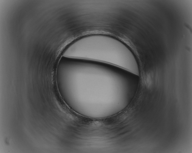X0000102020111200807180952