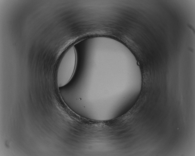 X0000102020112200807180952