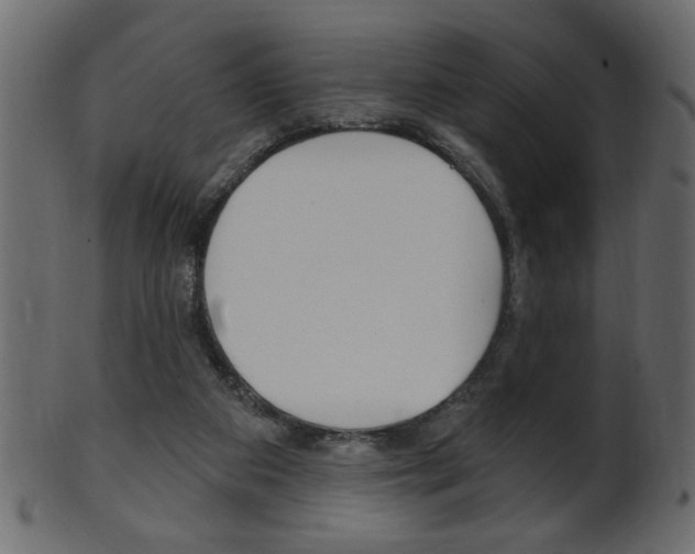 X0000102020113200807180952