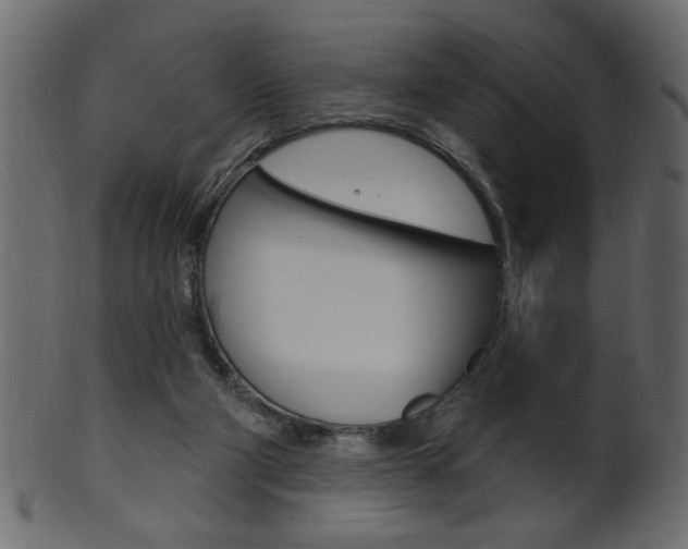 X0000102020114200807180952