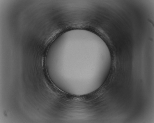 X0000102020115200807180952
