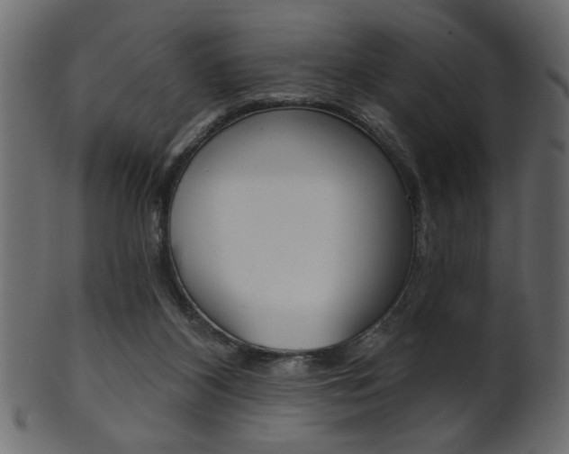 X0000102020116200807180952