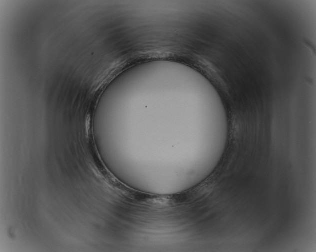 X0000102020118200807180952