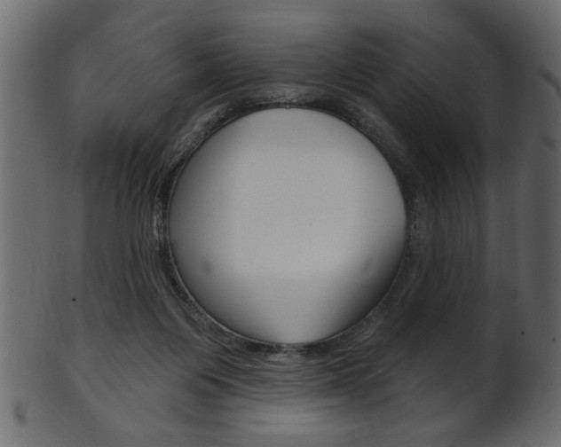 X0000102020119200807180952