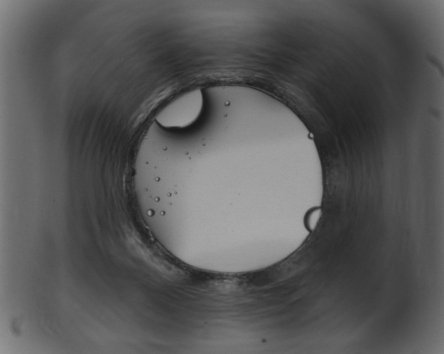 X0000102020120200807180952