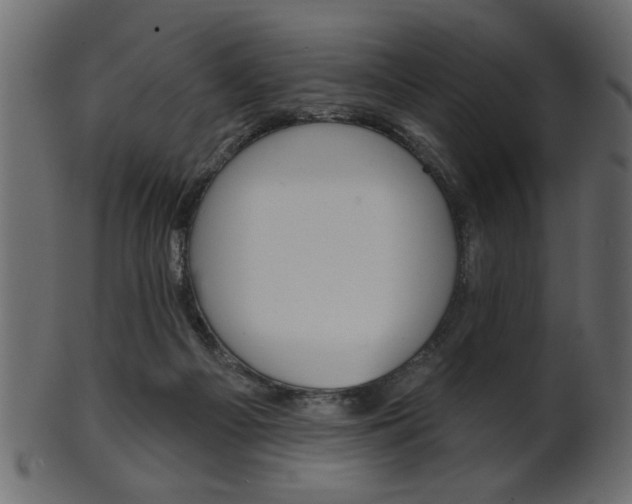 X0000102020121200807180952