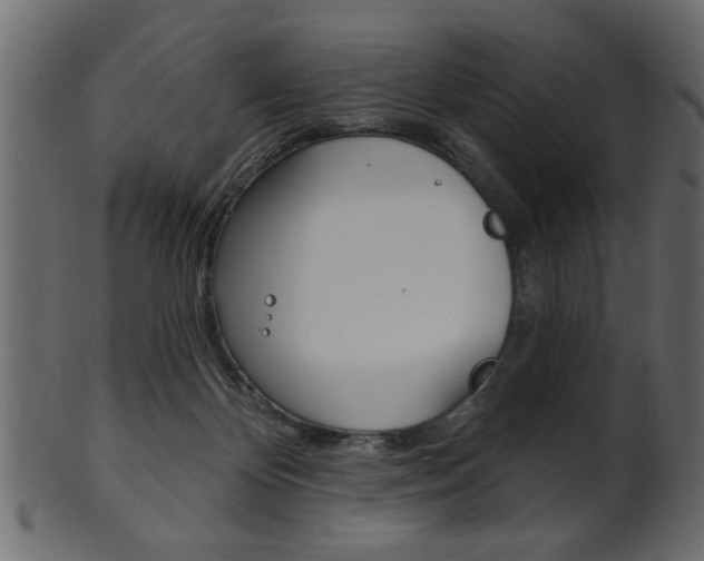 X0000102020124200807180952