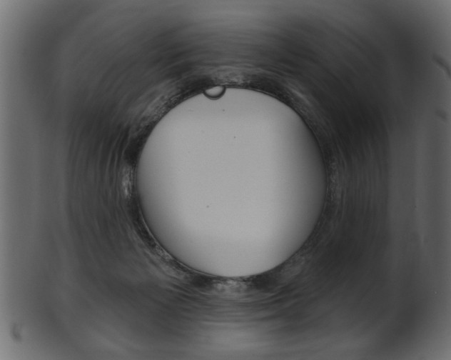 X0000102020125200807180952