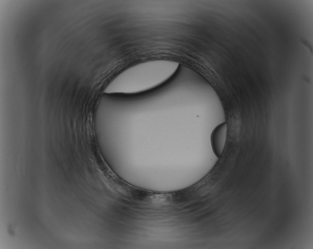X0000102020126200807180952