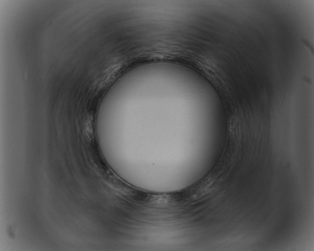 X0000102020127200807180952