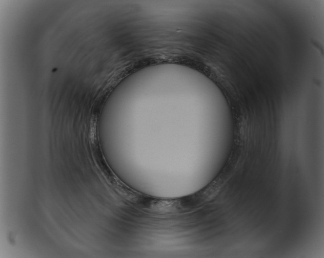 X0000102020129200807180952