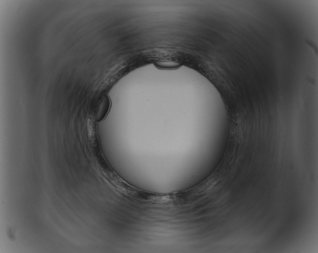 X0000102020131200807180952