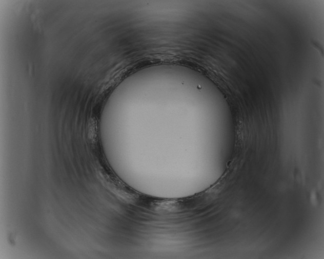 X0000102020132200807180952