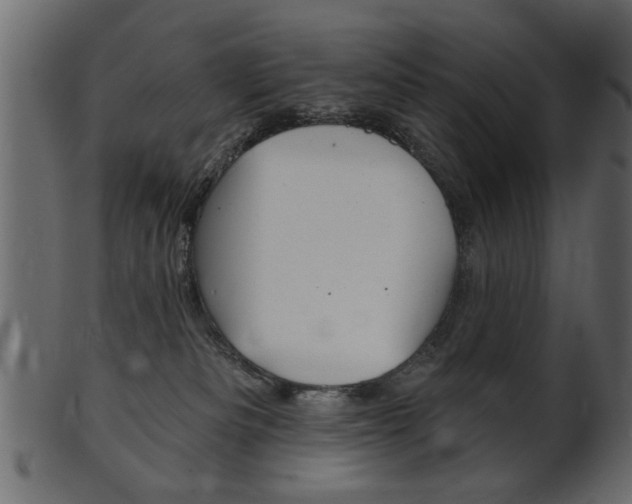 X0000102020133200807180952