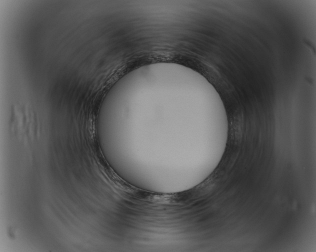 X0000102020134200807180952
