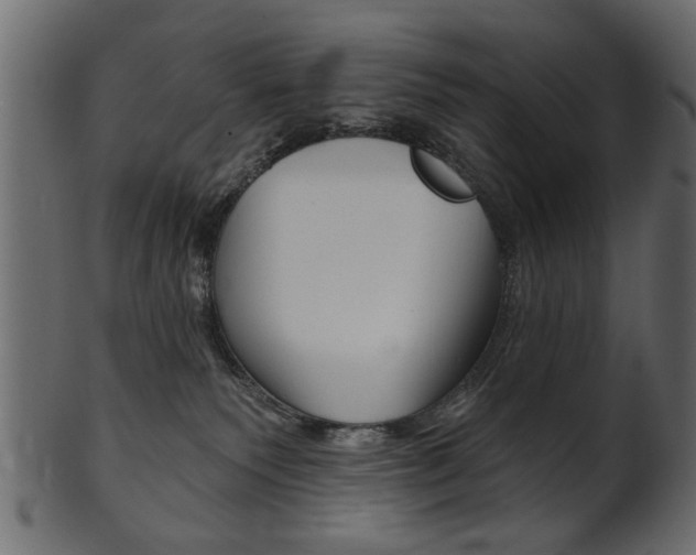 X0000102020135200807180952