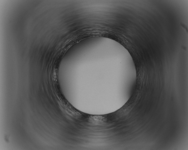 X0000102020137200807180952