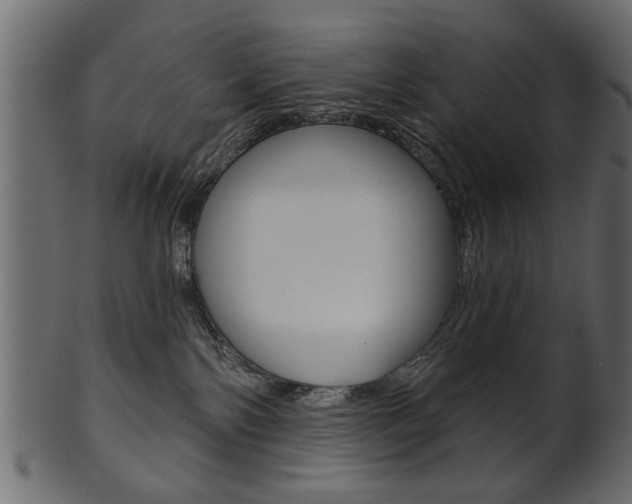X0000102020138200807180952
