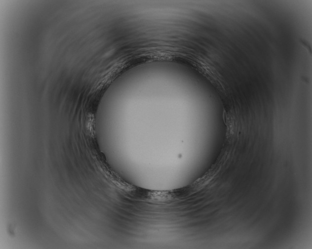 X0000102020141200807180952