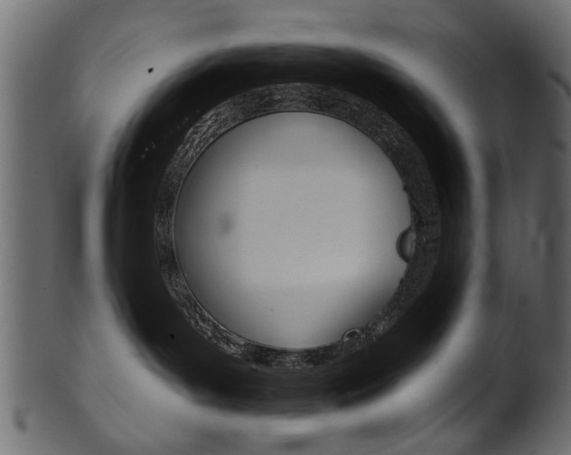 X0000102020143200807180952