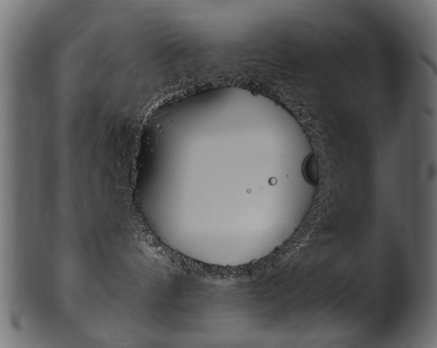 X0000102020144200807180952