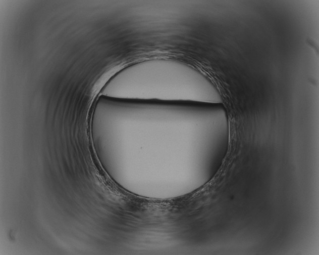 X0000102020147200807180951