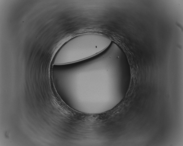 X0000102020148200807180951