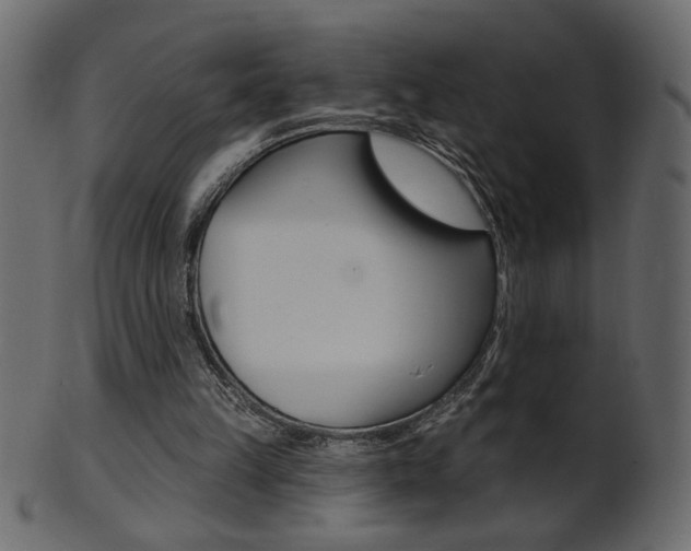 X0000102020149200807180951