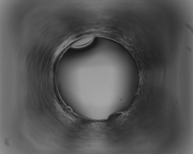 X0000102020150200807180951