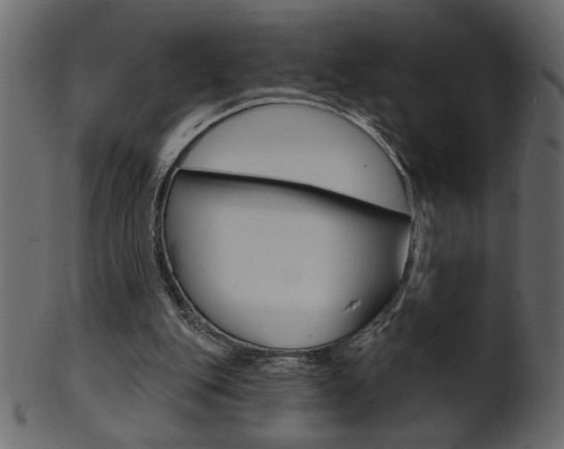 X0000102020151200807180951