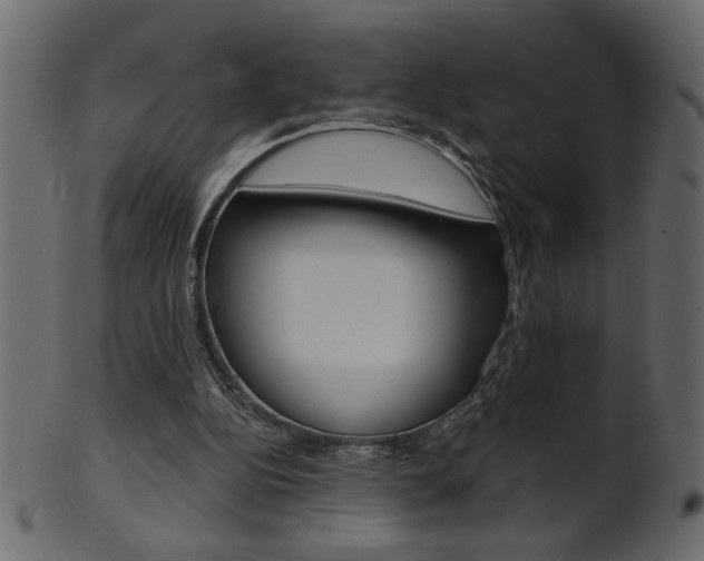X0000102020152200807180951